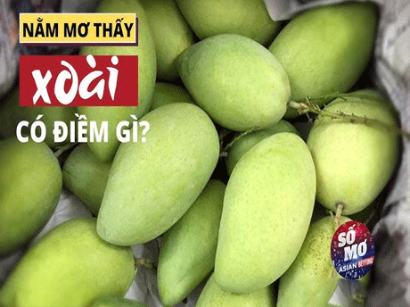 Nằm mơ thấy xoài đánh con gì? Ý nghĩa giấc mơ thấy trái xoài