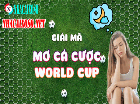 Mơ Cá Cược World Cup Đánh Lô Đề Gì Trúng 100%