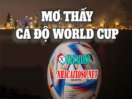 Mơ Cá Độ World Cup Thì Đánh Lô Đề Gì Trúng 100%