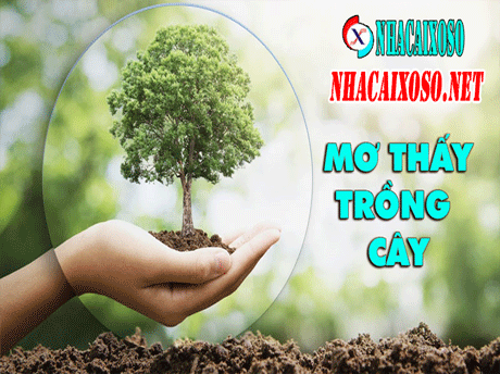 Mơ Thấy Trồng Cây * Con Số Nào Trong Lô Đề Trúng 100%