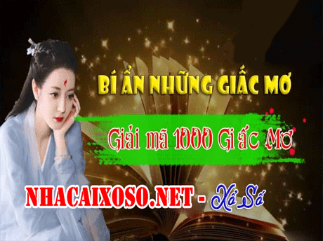 Bí Ẩn Những Giấc Mơ Lô Đề - Con Số 