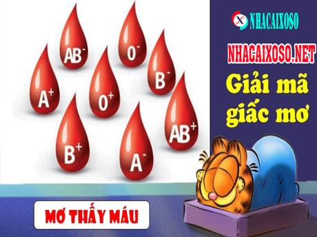 Mơ Thấy Máu Đánh Con Gì? Ý Nghĩa Giấc Mơ Thấy Máu