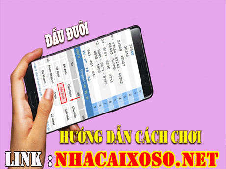 Đầu Đuôi NHÀ CÁI XỔ SỐ Và Cách Chơi Chi Tiết Tại NHÀ CÁI XỔ SỐ