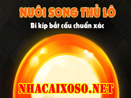 Nuôi song thủ lô ✅ Bí kíp đoán cầu lô không thể bỏ qua