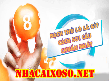 Bạch Thủ Lô Là Gì? Tổng Hợp Cách Đánh Trúng 99%