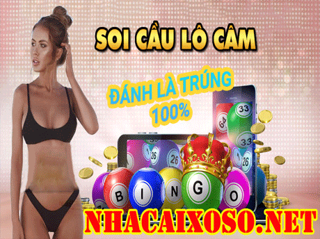 Soi Cầu Lô Câm ✅ Đánh Là Trúng 100%